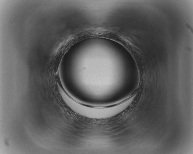 X0000100361447200806061126