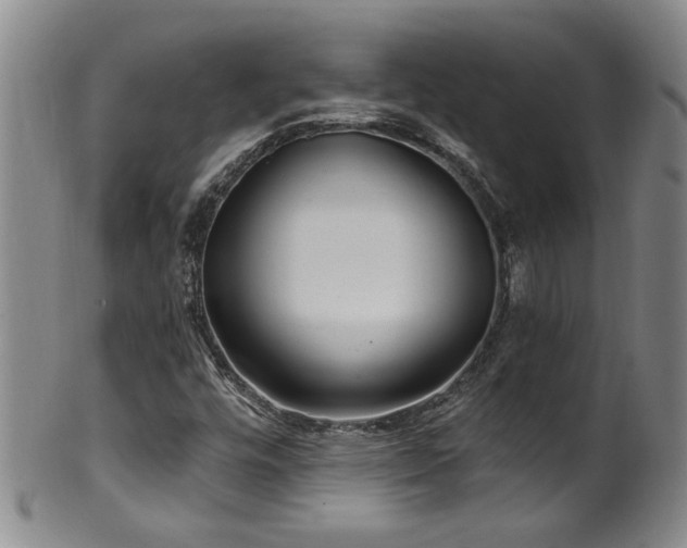 X0000100361448200806061126