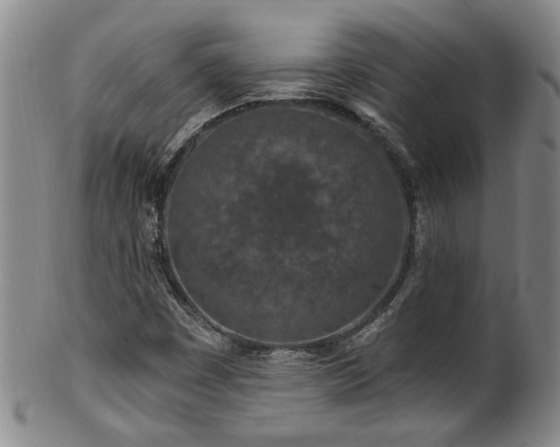 X0000100361449200806061126