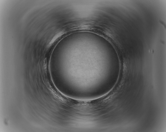 X0000100361450200806061126