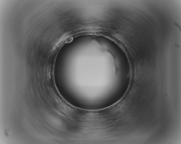 X0000100361451200806061126