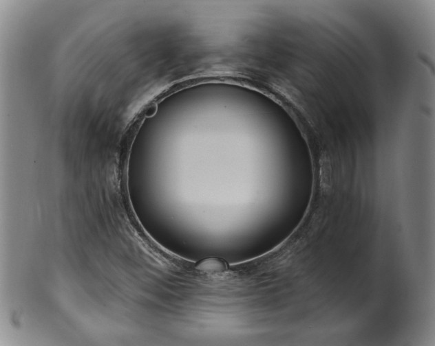 X0000100361452200806061126