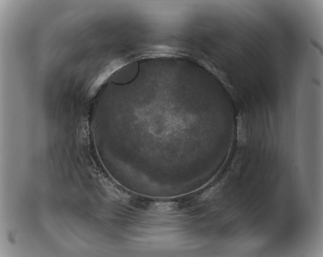 X0000100361453200806061126