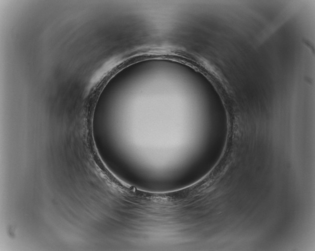 X0000100361456200806061126