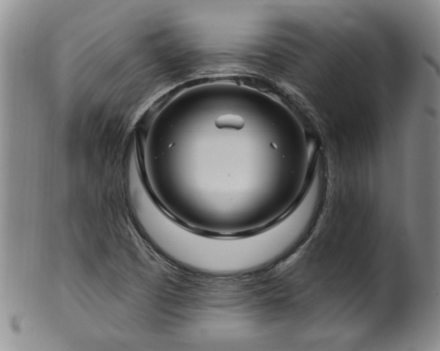 X0000100361457200806061126