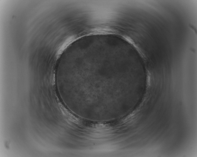 X0000100361459200806061126