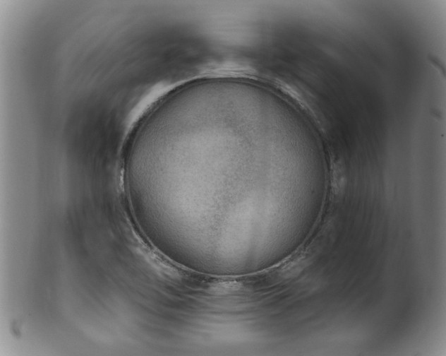 X0000100361462200806061126
