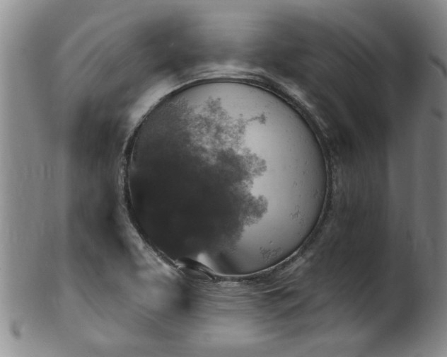 X0000100361463200806061126