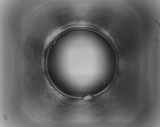 X0000100361464200806061126