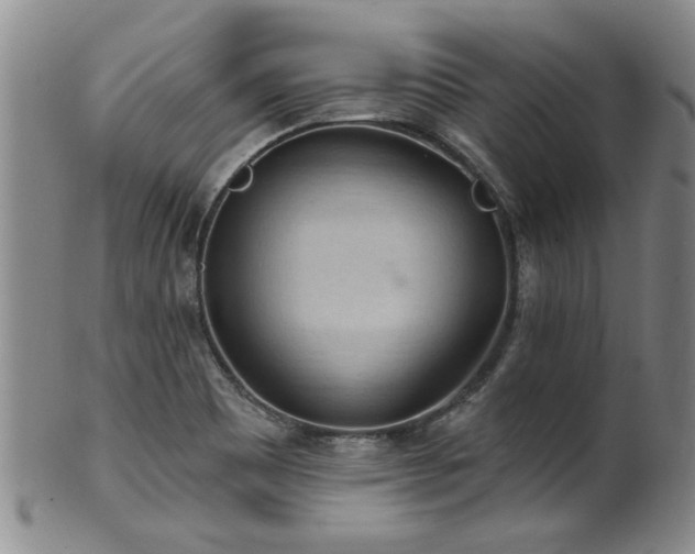 X0000100361465200806061126