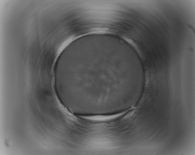 X0000100361467200806061126