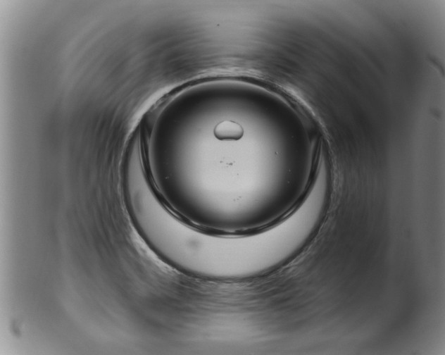 X0000100361468200806061126