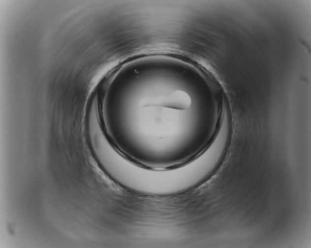 X0000100361469200806061126