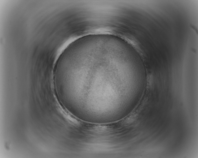 X0000100361470200806061126
