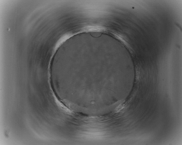 X0000100361471200806061126