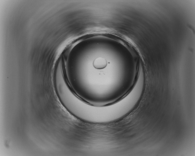 X0000100361472200806061126