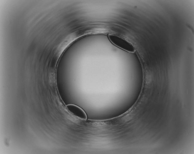 X0000100361473200806061126
