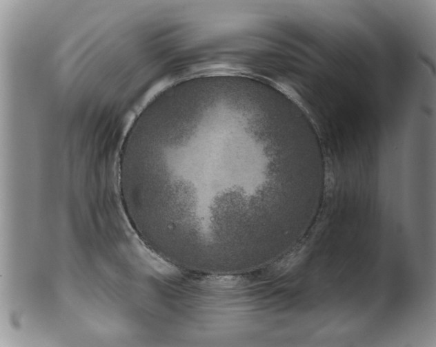 X0000100361474200806061126