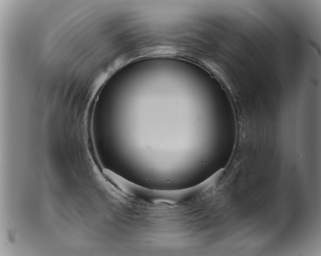 X0000100361475200806061126
