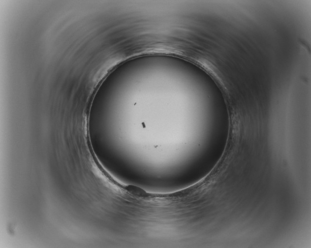 X0000100361476200806061126