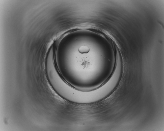 X0000100361477200806061126