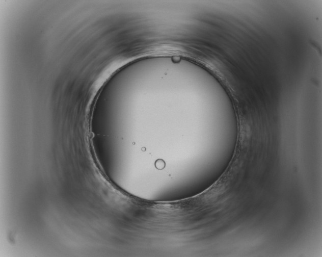 X0000100361478200806061126