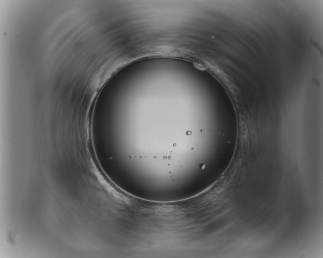 X0000100361479200806061126