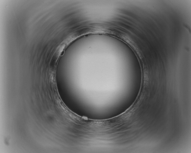 X0000100361481200806061126