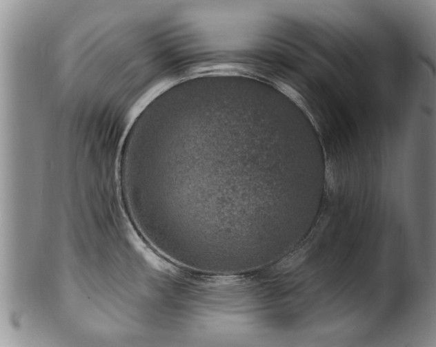 X0000100361482200806061126