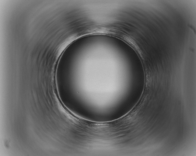 X0000100361483200806061126