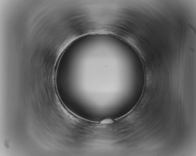 X0000100361484200806061126