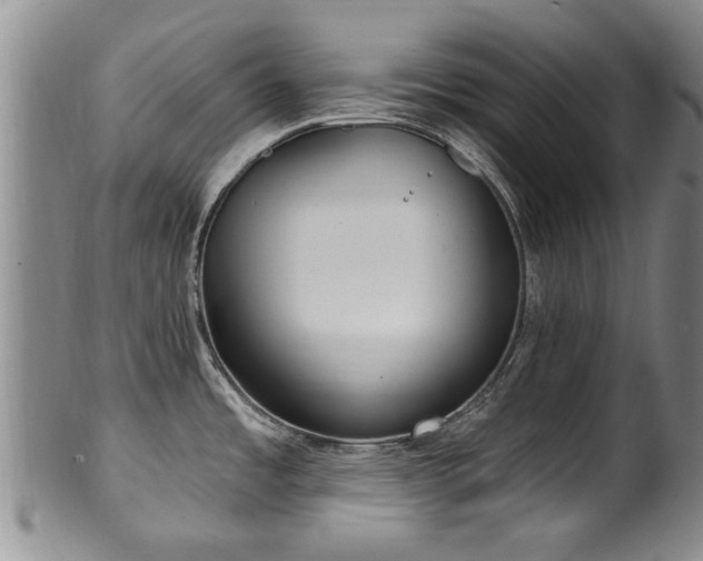 X0000100361485200806061126
