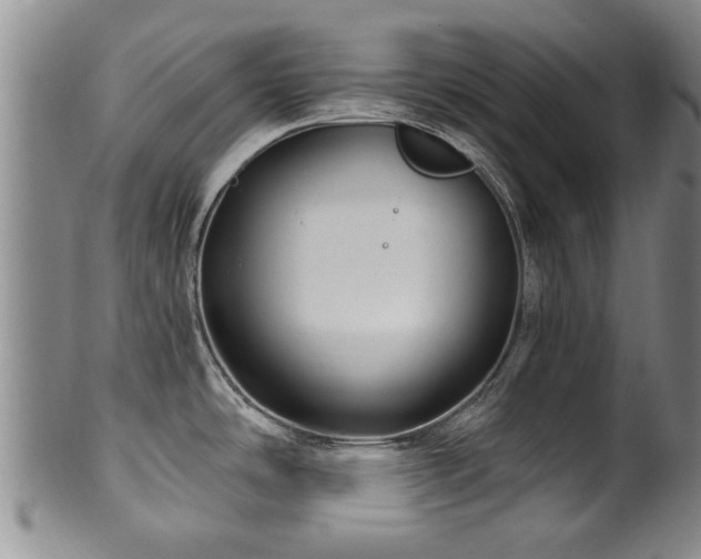 X0000100361486200806061126