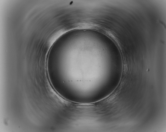 X0000100361487200806061126
