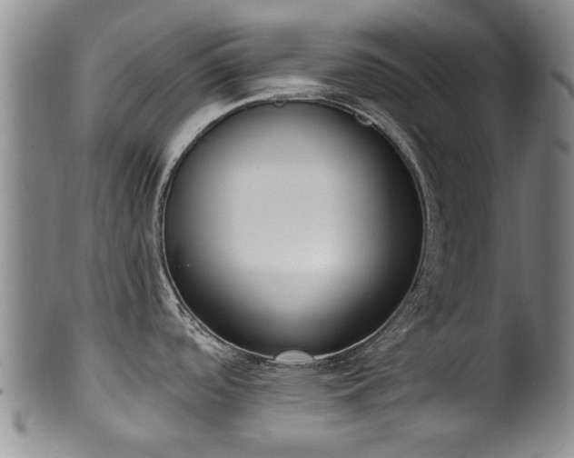 X0000100361488200806061126