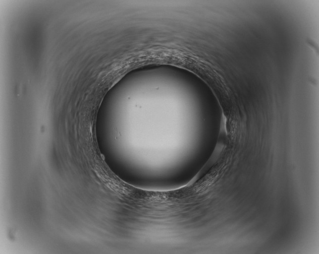 X0000100361489200806061125