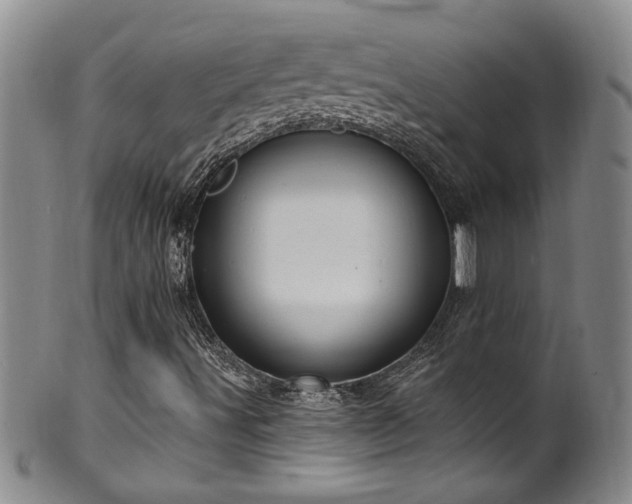 X0000100361491200806061125