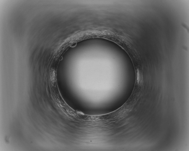 X0000100361492200806061125