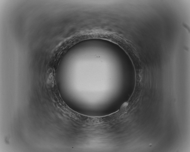 X0000100361493200806061125