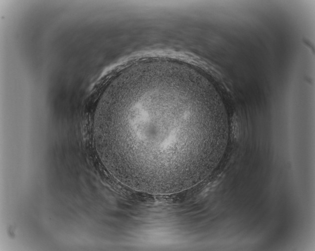X0000100361494200806061125