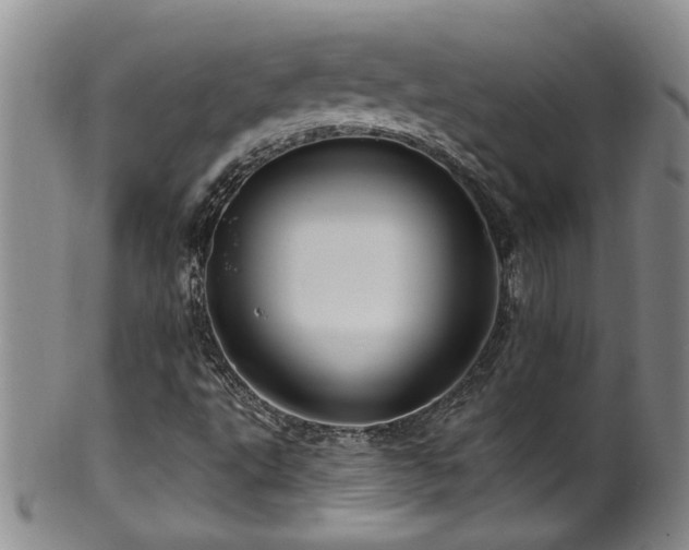 X0000100361495200806061125