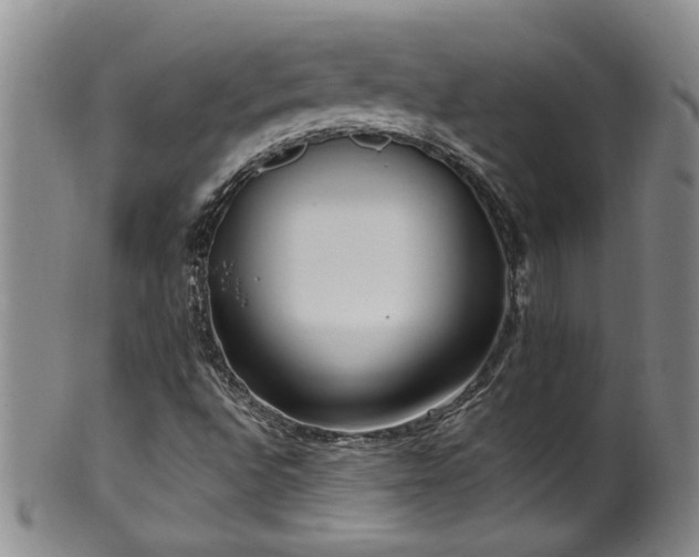 X0000100361496200806061125