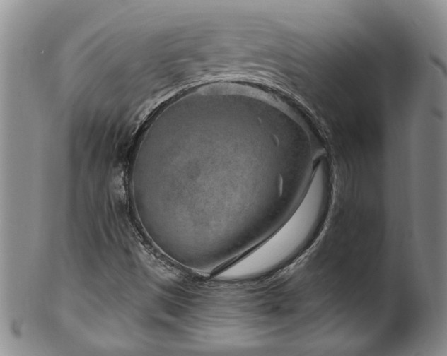 X0000100361497200806061125