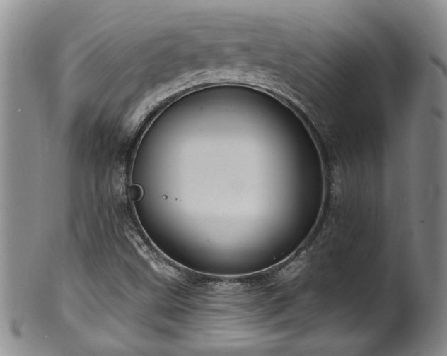 X0000100361499200806061125