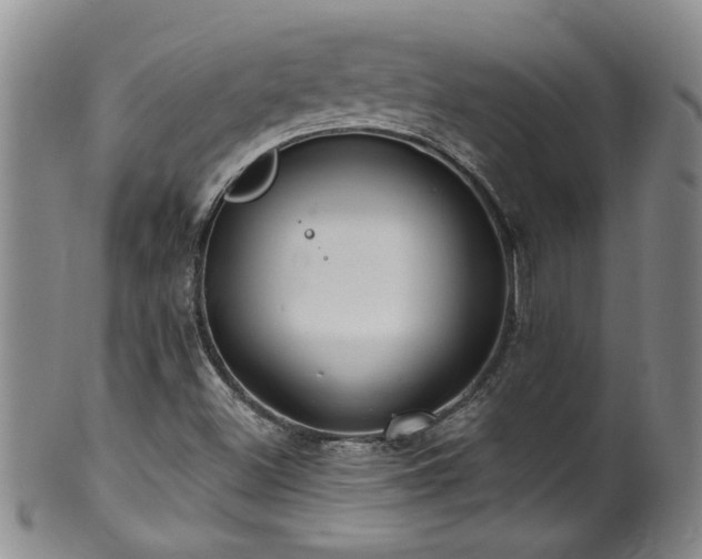 X0000100361500200806061125