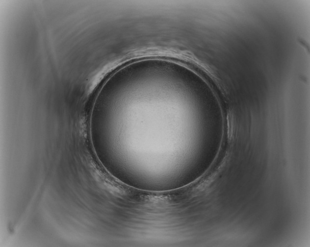X0000100361501200806061125