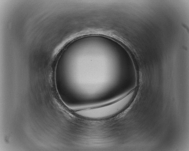 X0000100361502200806061125