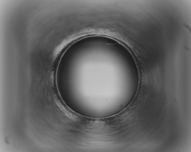 X0000100361503200806061125