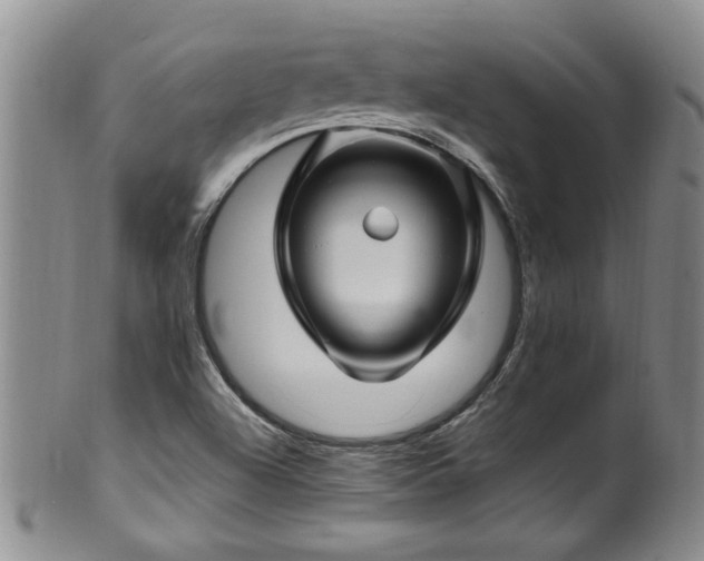 X0000100361504200806061125
