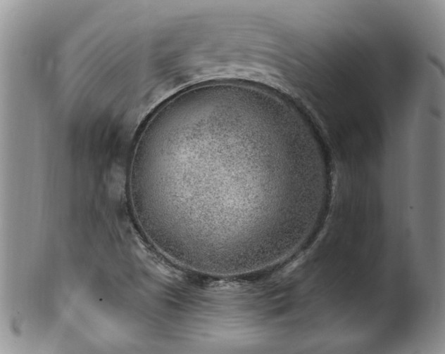 X0000100361505200806061125